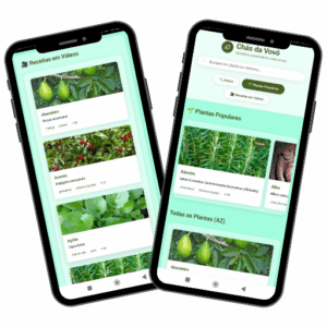 Acesso ao Aplicativo